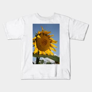 Bright and Colorful Kansas Sunflower Kids T-Shirt